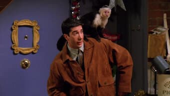 The One with the Monkey